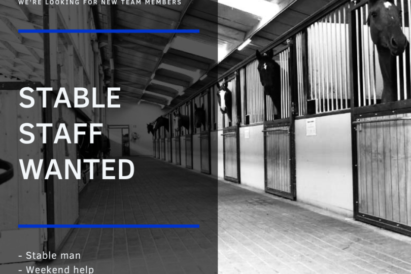 Stable staff wanted